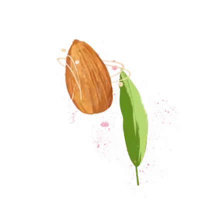 A decorative image showing an almond and a green left