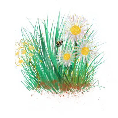 Grass Flowers and a Bee